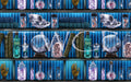 Anima Defessus - Cabinet of Curiosities V2 Blue