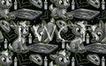 Anima Defessus - Capra Bellus Bundle Exclusive 2