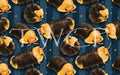 Anima Defessus - Cubaris Isopods Rubber Duckies Blue Stripes