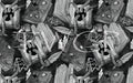 Anima Defessus - Forbidden Books Grey