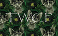 Anima Defessus - Hextober 2025 Day 06 - Insects Forest Bundle Exclusive
