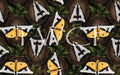 Anima Defessus - Hextober 2025 Day 22 - Moth Brown Bundle Exclusive