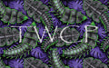 Anima Defessus - Trilobite Bundle Exclusive