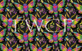 Cauldron & Quill - Lisa Freak Moth Black