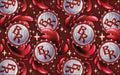Citrus & Spice - Dungeon Crawler Carl - Big Red Coordinate