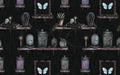 Love, Kyr - Oddities Shelves Gothic Wallpaper Black