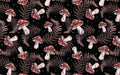 Anima Defessus - Whimsy Grove - Dusk Mushroom (Coordinate) (Bundle Exclusive)
