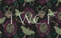 Whimsy Pixie Designs - Belladonna Frames Charcoal