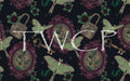 Whimsy Pixie Designs - Belladonna Frames Navy