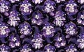 Anima Defessus - Whimsy Grove - Twilight Tapestry