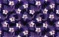 Anima Defessus - Whimsy Grove - Twilight Potion (Coordinate)