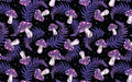 Anima Defessus - Whimsy Grove - Twilight Mushroom (Coordinate)